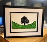 Quilled Sycamore Gap Picture